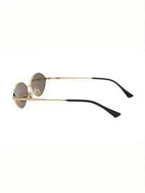 Окуляри Ray-Ban модель E0000586233 Фото