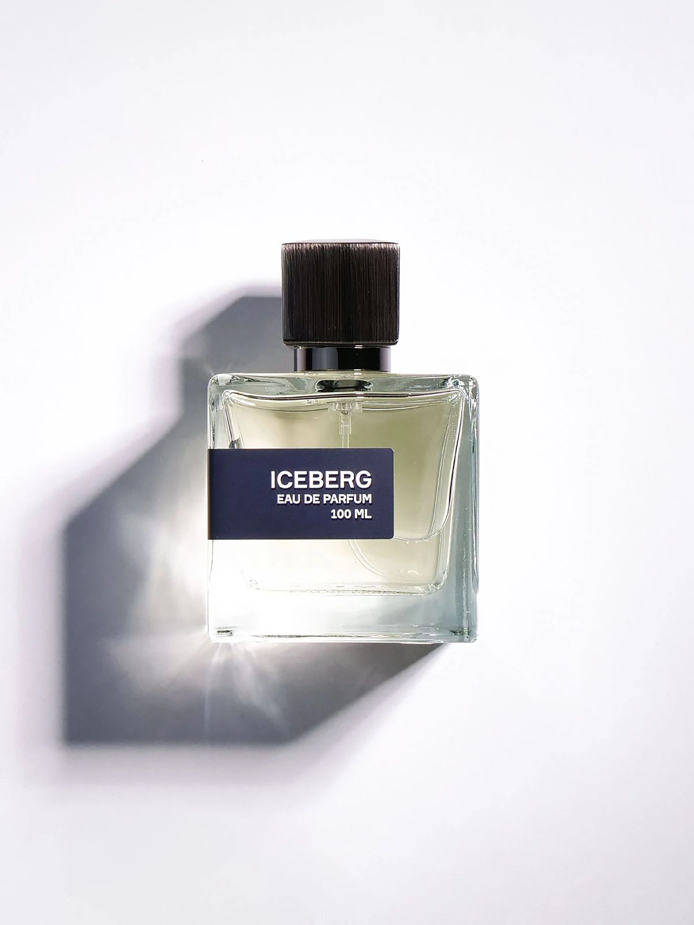 Парфумована вода Iceberg Extract модель 2589-100 Парфумована вода Iceberg Extract модель 2589-100 Фото