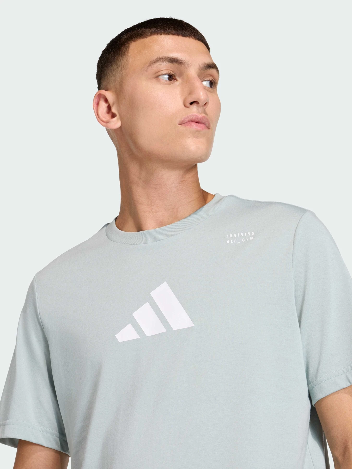 Футболки и поло Adidas Clima модель KE6101 Фото