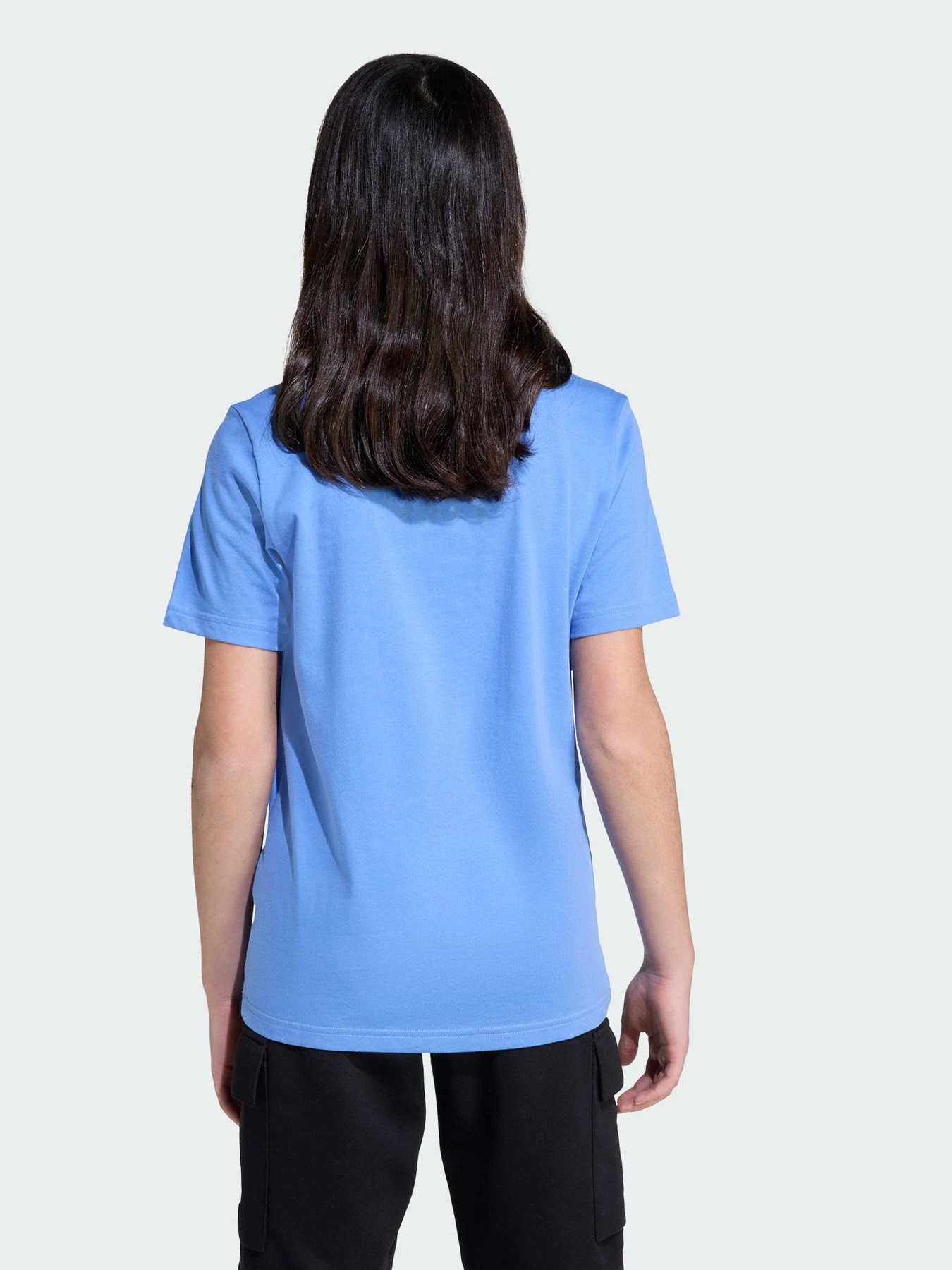 Футболки и поло Adidas модель JV5252 Футболки и поло Adidas модель JV5252 Фото