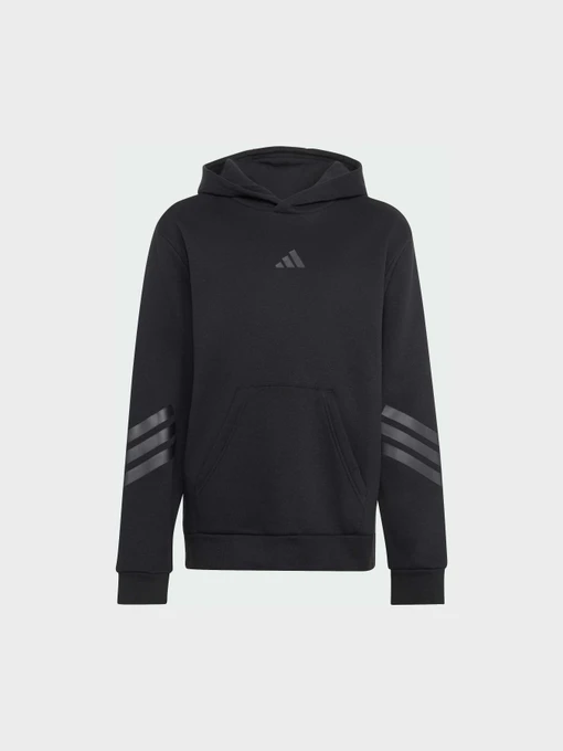 Худи и свитшоты Adidas модель KR7312 Фото