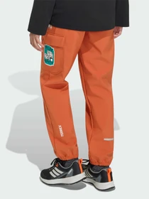 Брюки Adidas модель KV7474 Фото