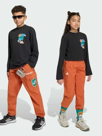 Брюки Adidas модель KV7474 Фото