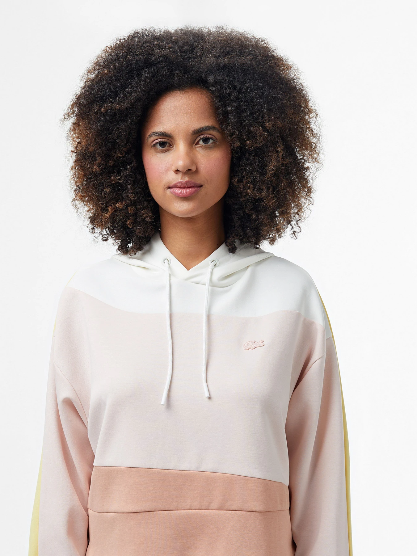 Худи и свитшоты Lacoste модель SF0507HCZ Фото