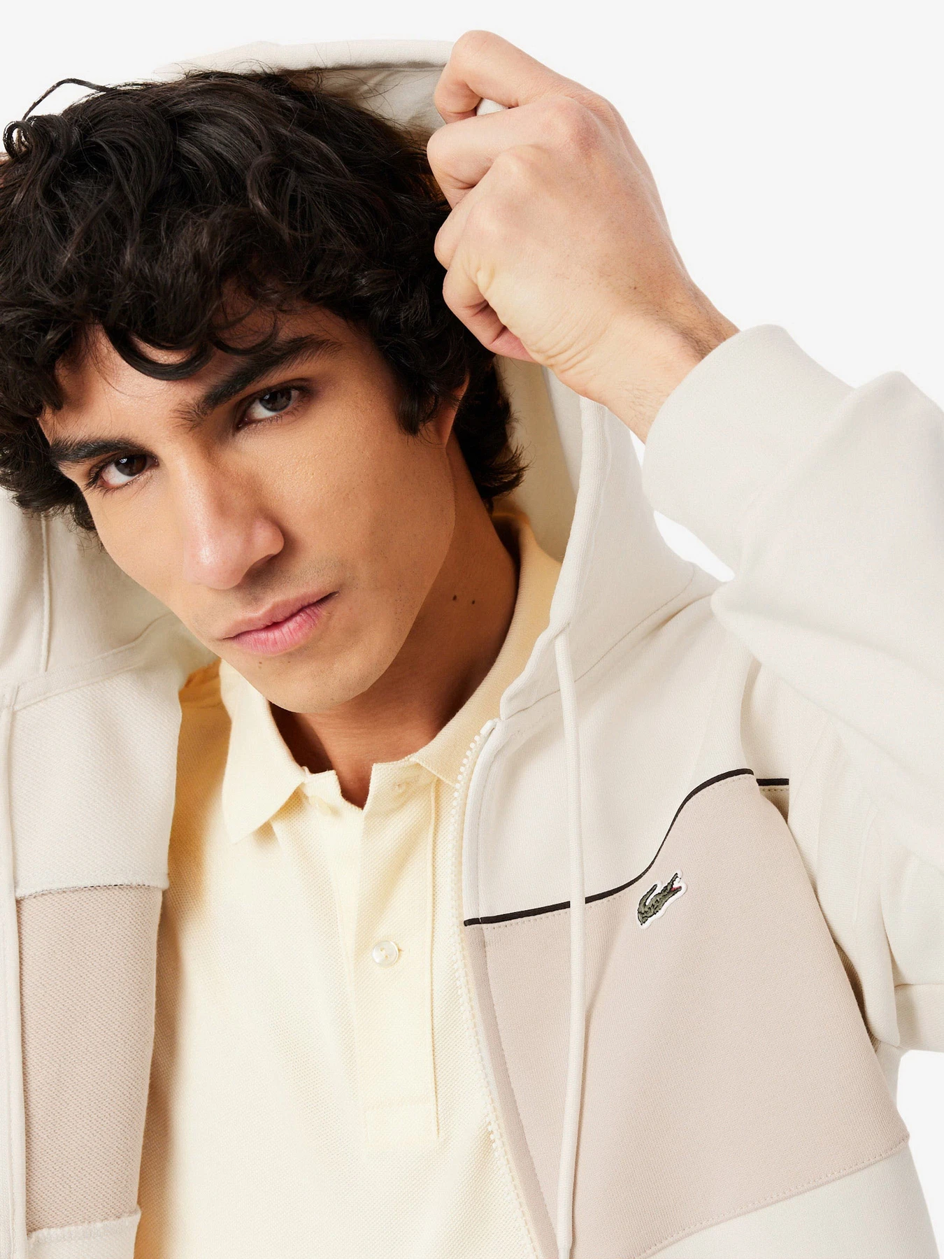 Худи и свитшоты Lacoste модель SH08923RR Фото