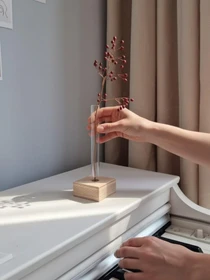 Мініатюрна скляна ваза-пробірка для квітів на дерев’яній підставці Botte модель 1Vases Фото