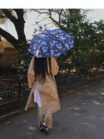 Парасольки Fulton Umbrellas модель L354-042045 Фото