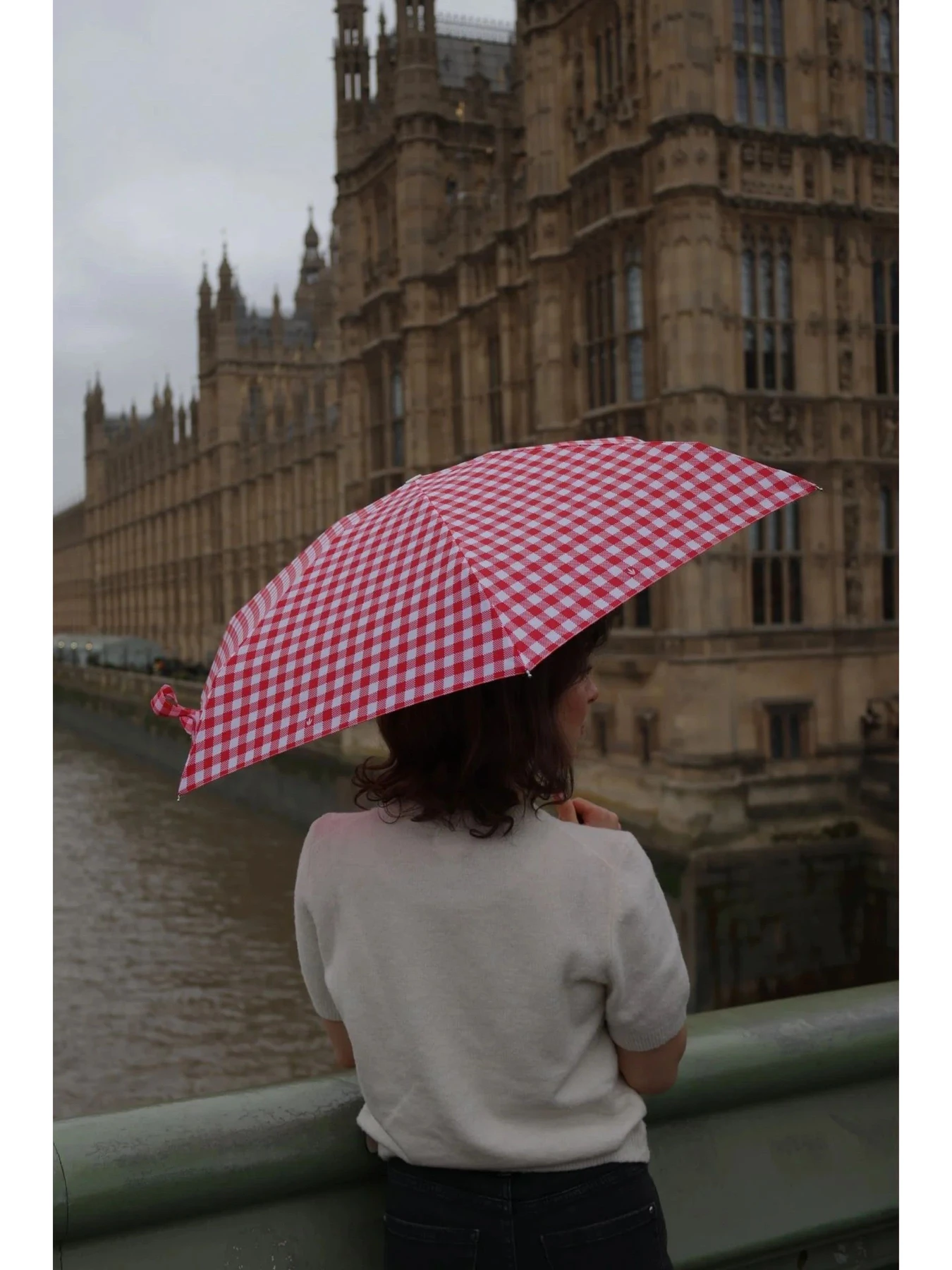 Зонты Fulton Umbrellas модель L501-042298 Зонты Fulton Umbrellas модель L501-042298 Фото