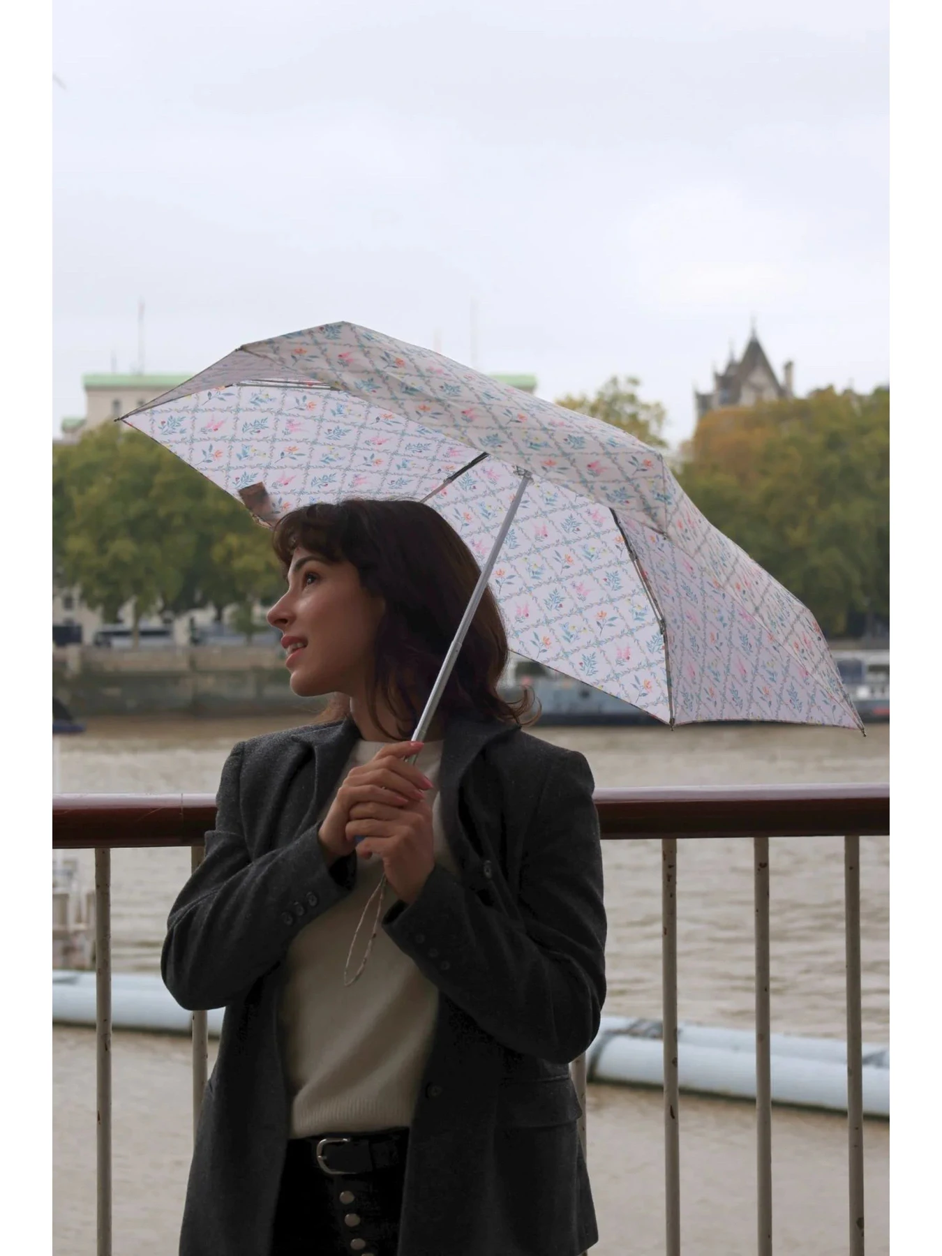 Зонты Fulton Umbrellas модель L501-042304 Зонты Fulton Umbrellas модель L501-042304 Фото