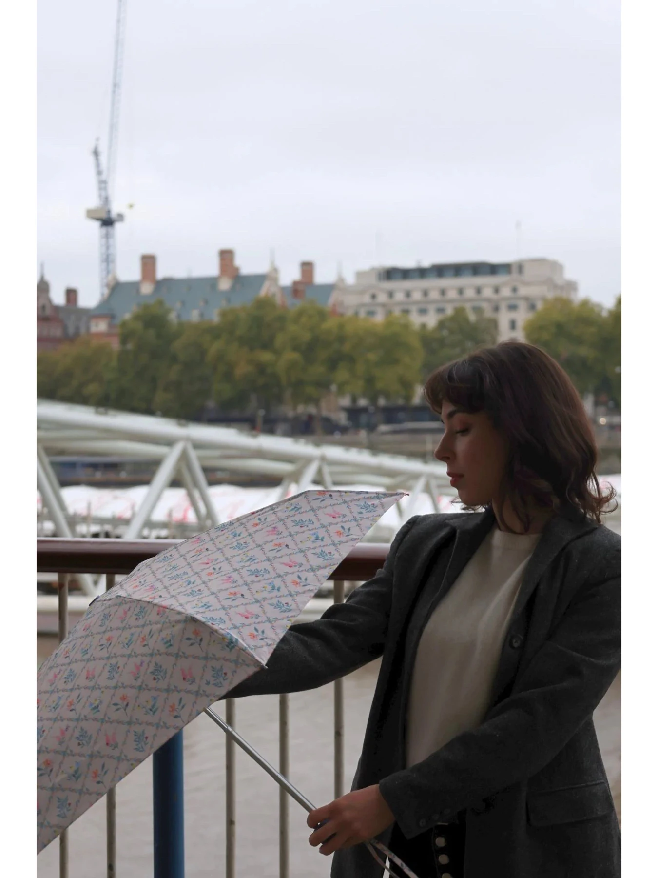 Зонты Fulton Umbrellas модель L501-042304 Зонты Fulton Umbrellas модель L501-042304 Фото