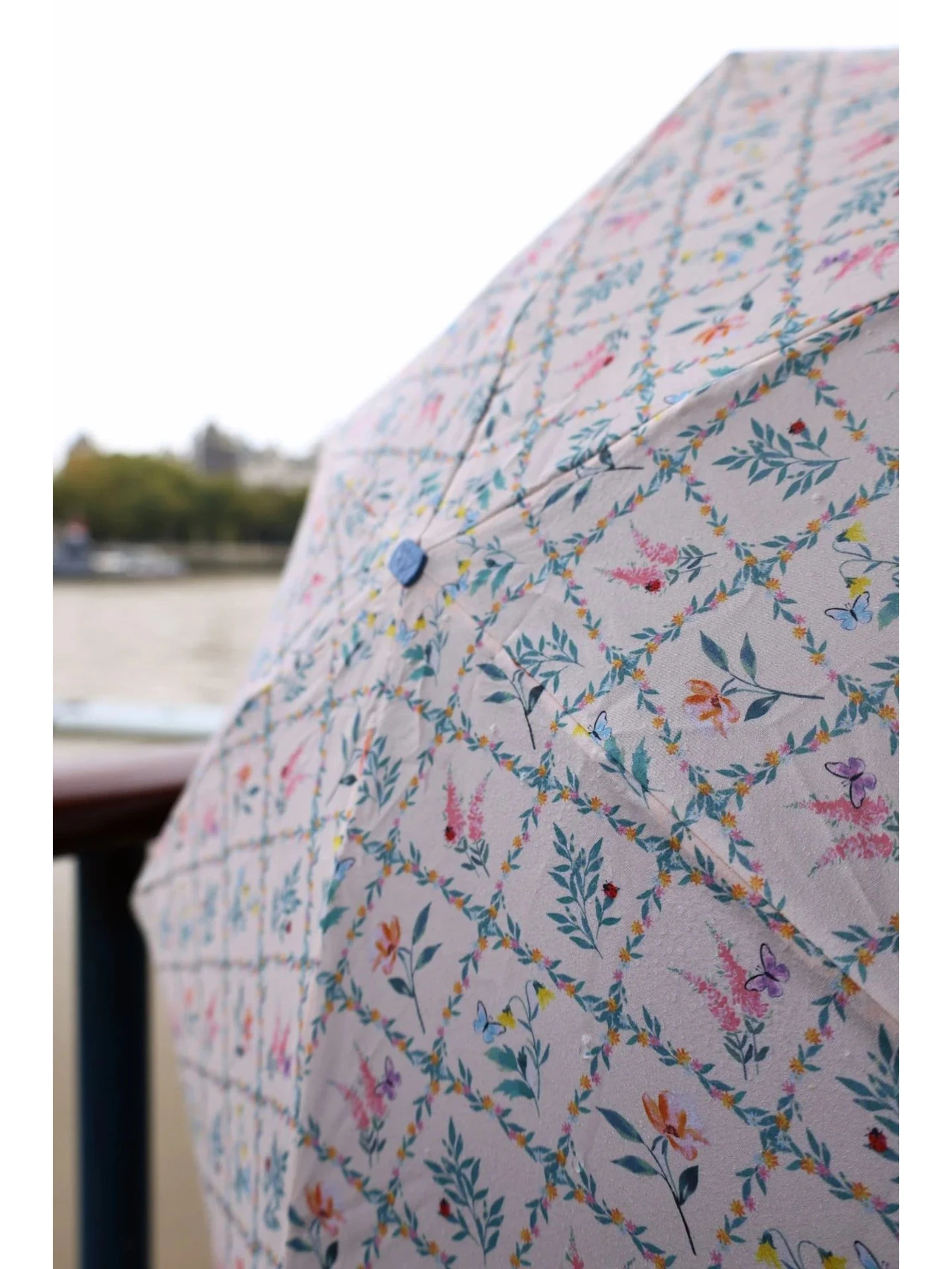 Зонты Fulton Umbrellas модель L501-042304 Зонты Fulton Umbrellas модель L501-042304 Фото