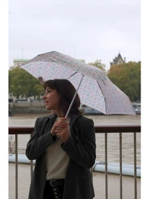 Зонты Fulton Umbrellas модель L501-042304 Фото