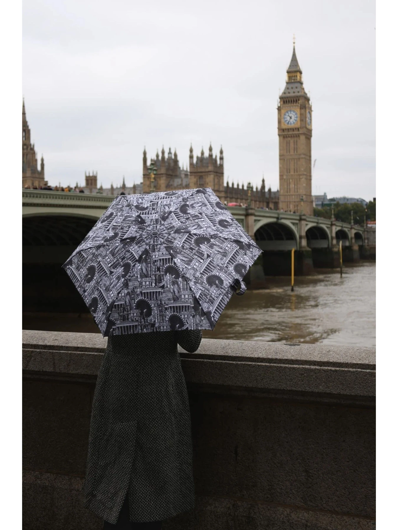 Зонты Fulton Umbrellas модель L501-042311 Зонты Fulton Umbrellas модель L501-042311 Фото