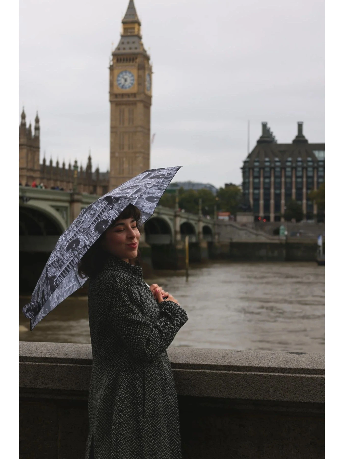 Зонты Fulton Umbrellas модель L501-042311 Зонты Fulton Umbrellas модель L501-042311 Фото