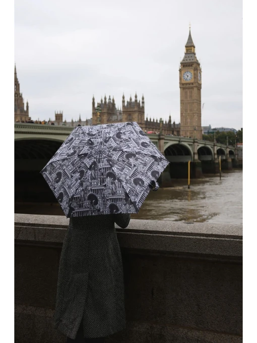 Fulton Umbrellas Парасольки колір чорний фото 3