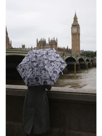 Зонты Fulton Umbrellas модель L501-042311 Фото