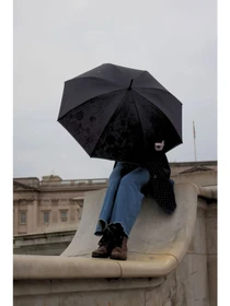 Зонты Fulton Umbrellas модель L847-042144 Фото
