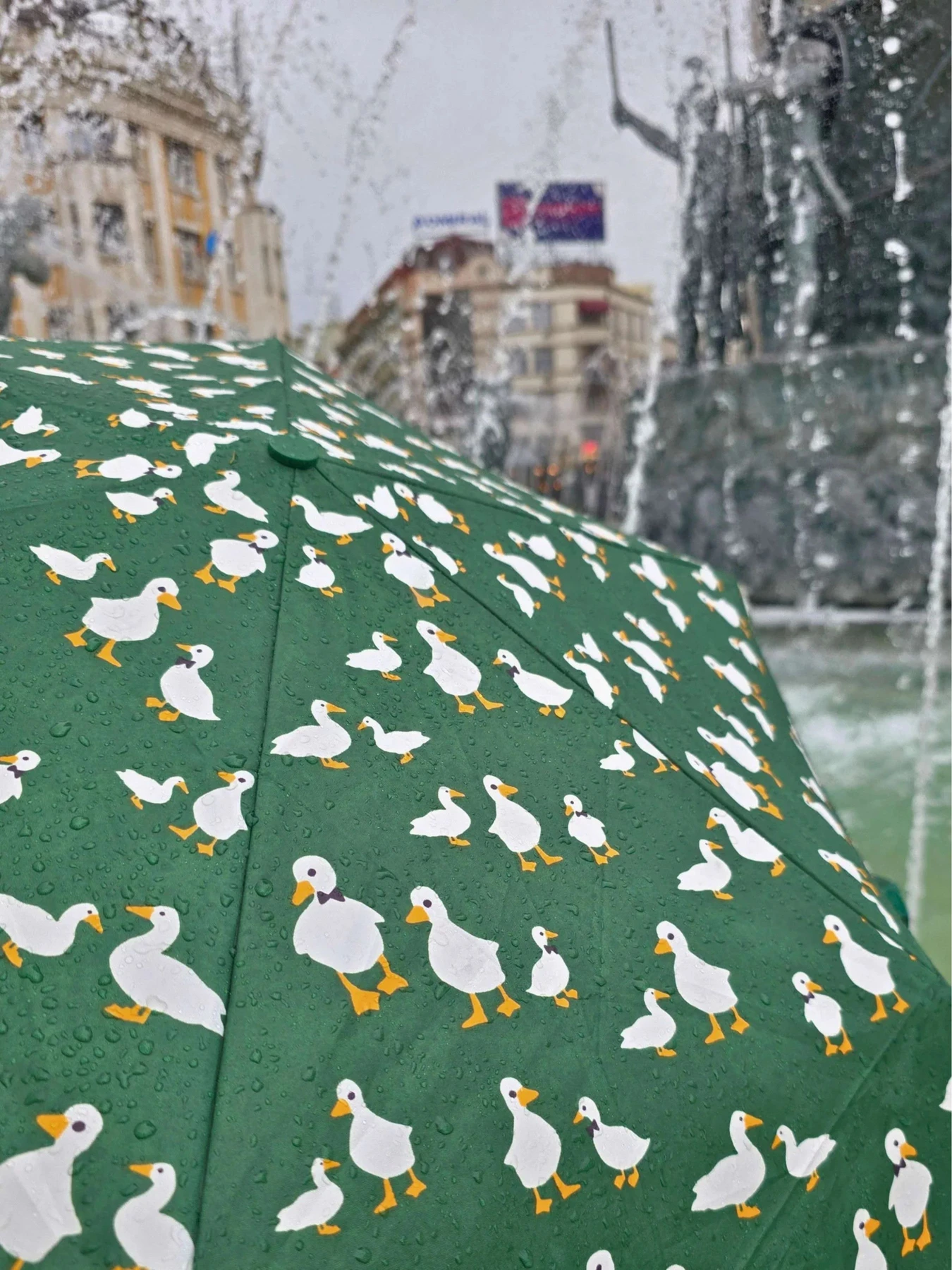 Зонты Fulton Umbrellas модель L926-042434 Зонты Fulton Umbrellas модель L926-042434 Фото