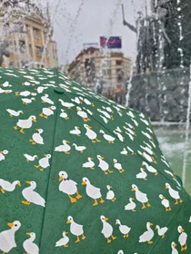 Зонты Fulton Umbrellas модель L926-042434 Фото