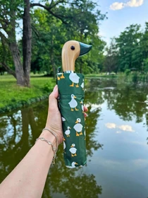 Зонты Fulton Umbrellas модель L926-042434 Фото