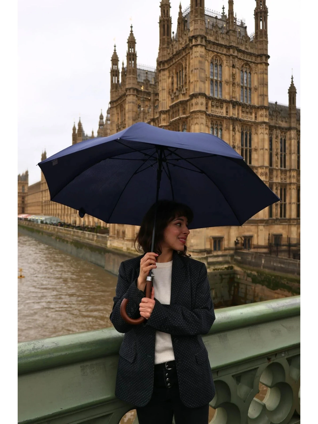 Зонты Fulton Umbrellas модель L943-042410 Фото