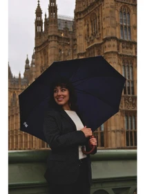 Зонты Fulton Umbrellas модель L943-042410 Фото