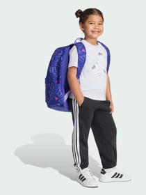 Рюкзаки Adidas модель KS5244 Фото