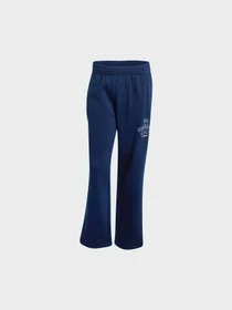 Брюки Adidas Graphics модель IB7091 Фото