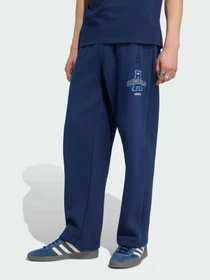 Брюки Adidas Graphics модель IB7091 Фото