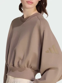 Худі та світшоти Adidas модель KS5419 Фото