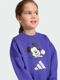 Костюмы Adidas модель KS3950 Фото