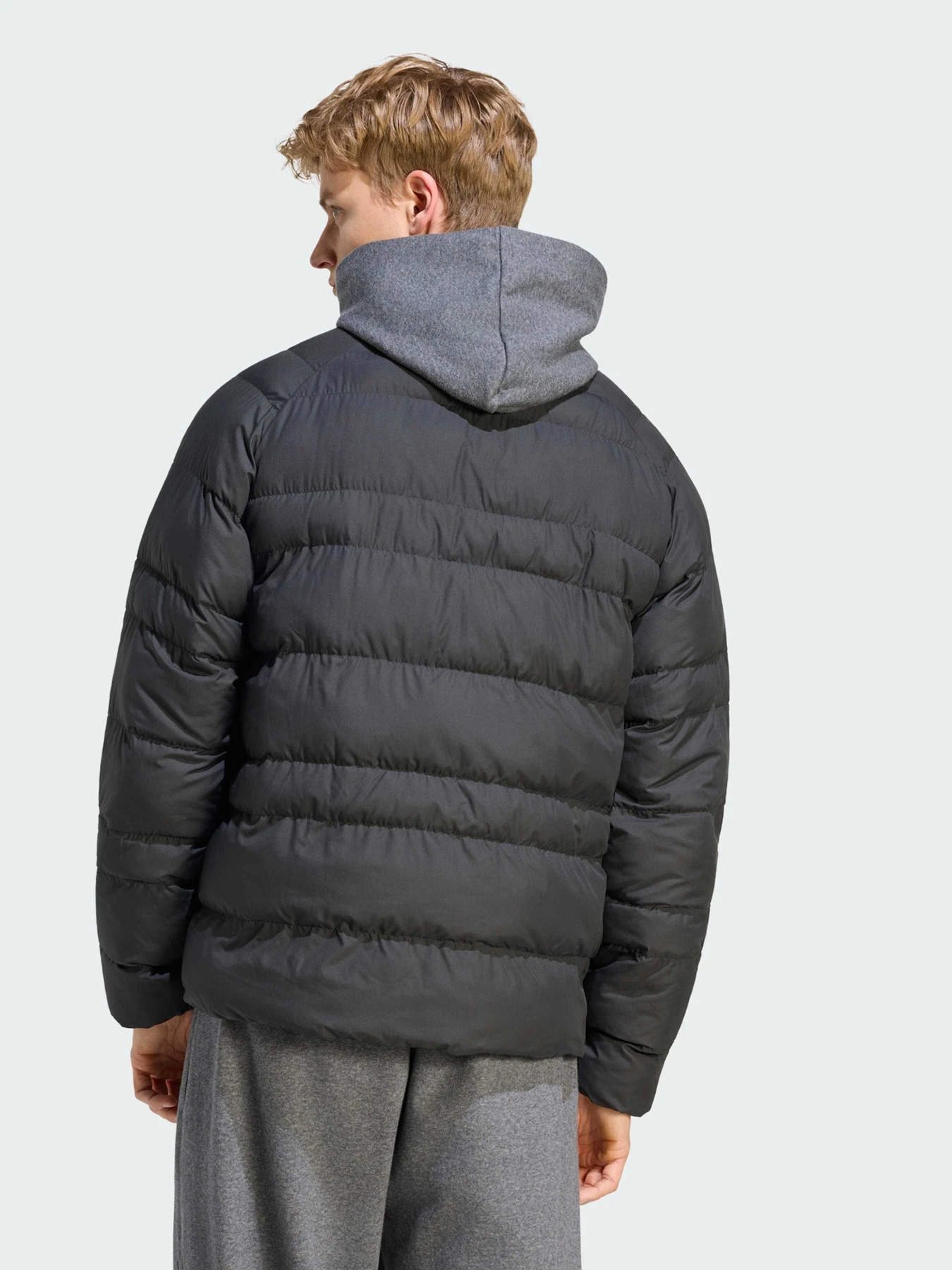 Куртки и дубленки Adidas модель KF2710 Фото