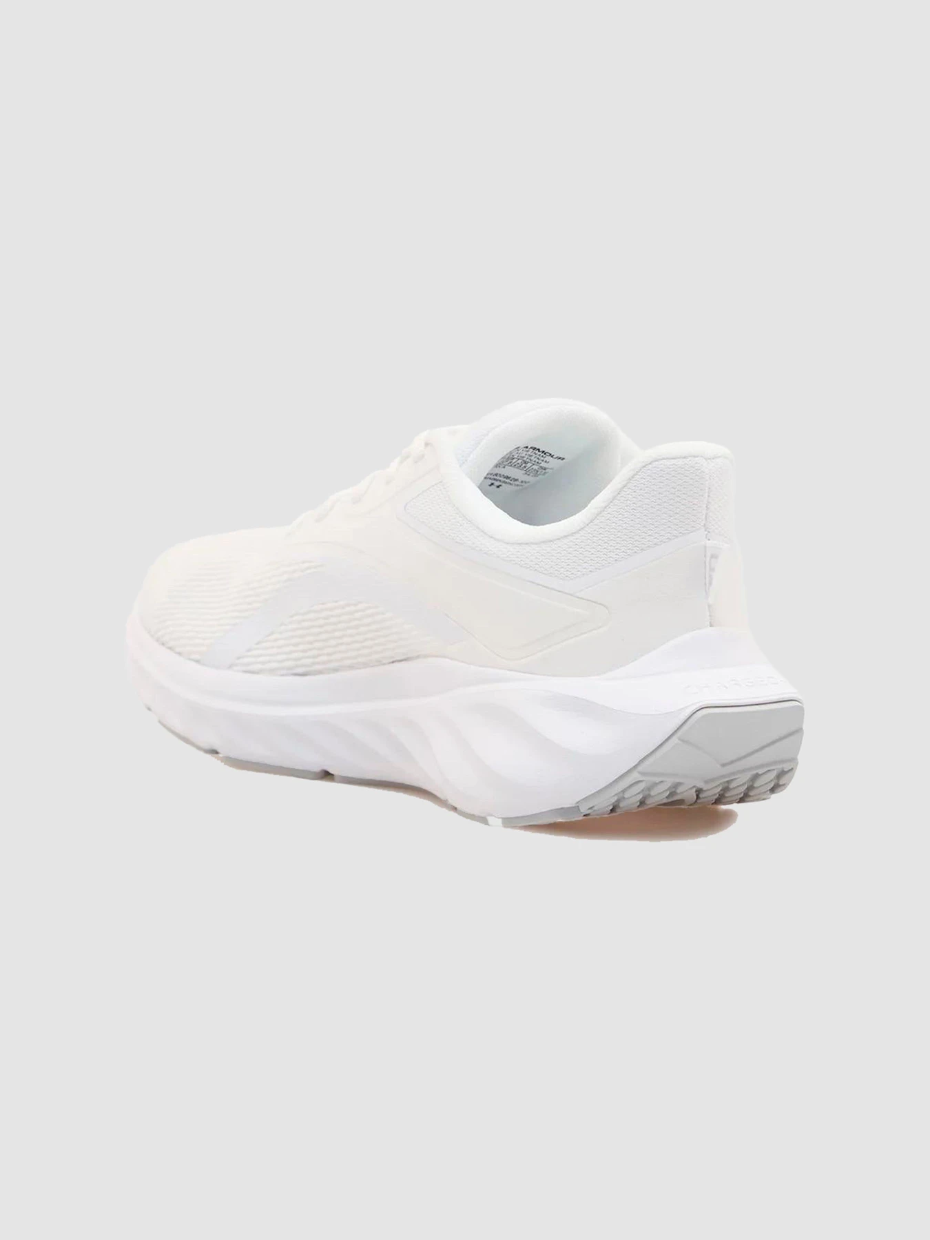Кросівки Under Armour W Ascend-Wht модель 6009828-100 Фото