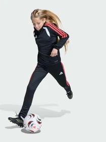 Худи и свитшоты Adidas Tiro модель JY7159 Фото