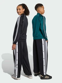 Штани Adidas Adicolor модель KR9119 Фото