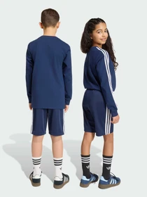 Шорты Adidas модель HZ6665 Фото