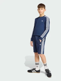 Шорты Adidas модель HZ6665 Фото