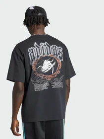 Футболки и поло Adidas Graphics модель IA4498 Фото