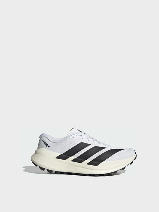 Кросівки Adidas Terrex модель KH8800 Фото