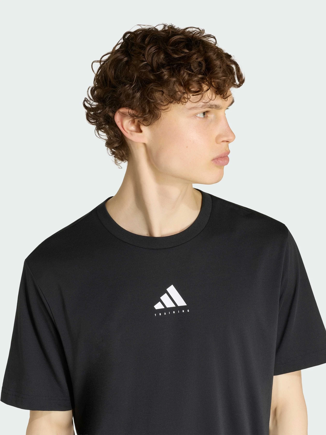 Футболки і поло Adidas Clima модель KR2312 Фото
