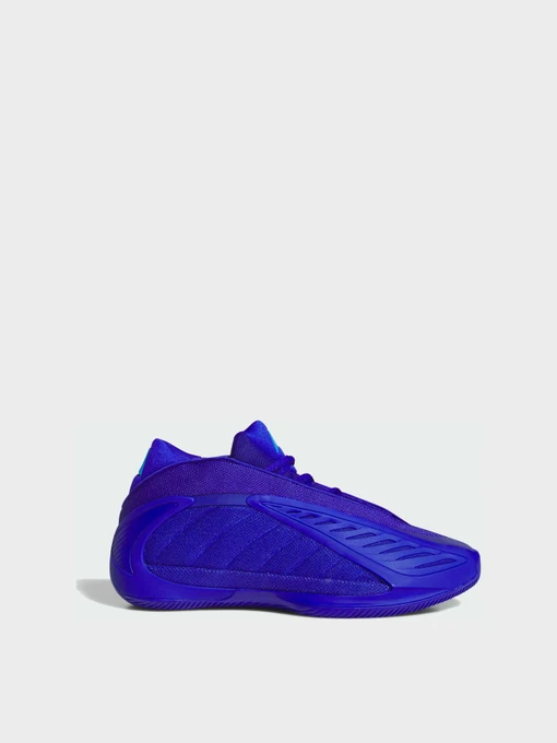 Кроссовки Adidas модель JQ9501 Фото