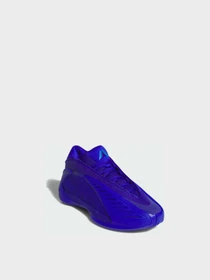 Кроссовки Adidas модель JQ9501 Фото