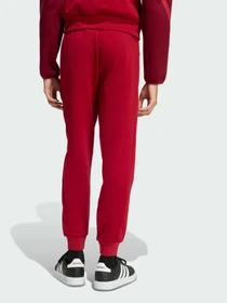 Штани Adidas ZNE модель KE4685 Фото