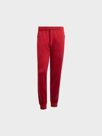 Штани Adidas ZNE модель KE4685 Фото