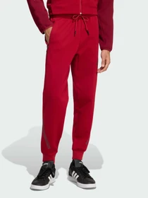 Штани Adidas ZNE модель KE4685 Фото