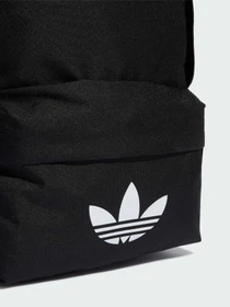 Рюкзаки Adidas Adicolor модель KQ6385 Фото