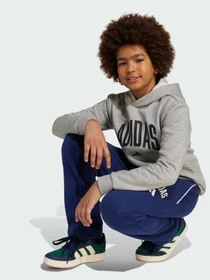 Худі та світшоти Adidas Adidas Essentials модель JV7336 Фото