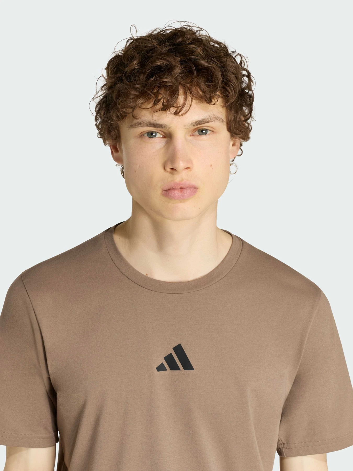 Футболки и поло Adidas Clima модель KQ9876 Футболки и поло Adidas Clima модель KQ9876 Фото