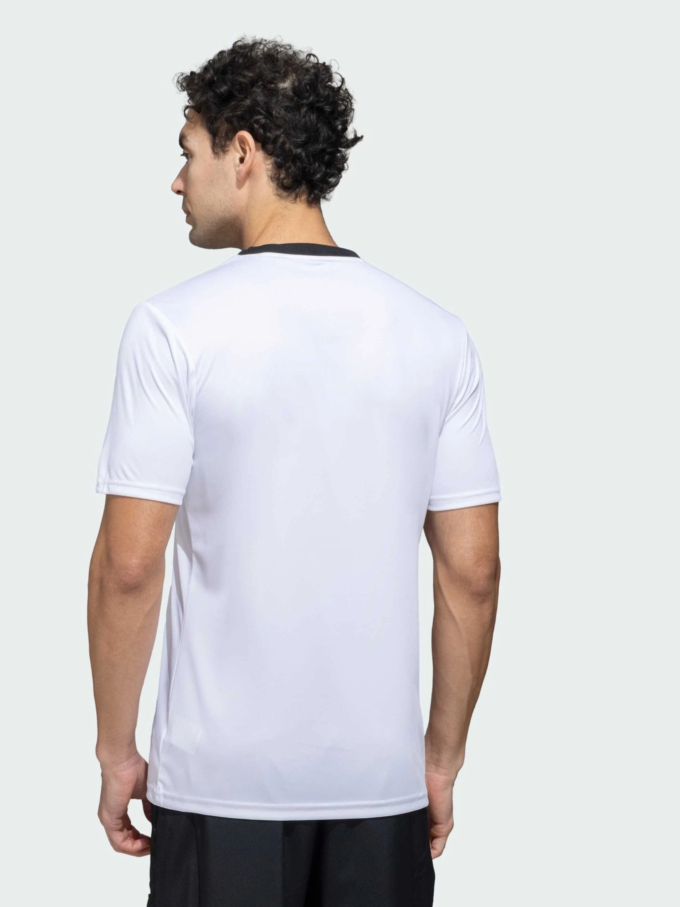 Футболки и поло Adidas модель KG3343 Футболки и поло Adidas модель KG3343 Фото