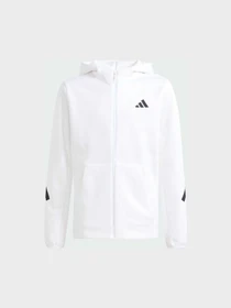 Худи и свитшоты Adidas ZNE модель KC9679 Фото